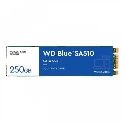 WD SSD Blue 250GB SA510 M.2 2280 WDS250G3B0B