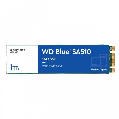 WD SSD Blue 1TB SA510 M.2 2280 WDS100T3B0B